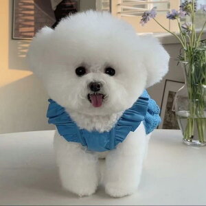 ybgEFA  L hbOEFA LbgEFA t ؍ vZX t [Xs[X hX  y ʋC gCv[h rVt[[ U ig n[lX 