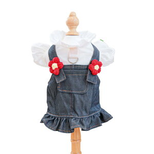  L ^p 킢  vZX fj Wp[XJ[g s[X Ԃԕ [ht U gCv[h [NV[eA t hbOEFA