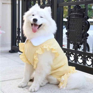 L ^ ^p 킢 vZX t [XXJ[g Vcs[X   t  U efB Lp m