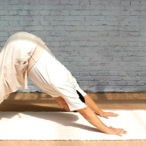 K}bg   tW ~ ܂肽 @ y g AEghA K seBX GNTTCY tBbglX Xgb` Ȗ Rbg l qI K