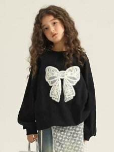 XEFbg K[Y LbY q N[lbN ێ vI[o[ g[i[ JWA ؍ tH ubN {  ig 