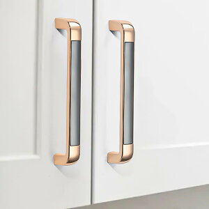 ����� ���_�� �V���v�� ���C�g���O�W���A���[ �k�� ���������� �Ƌ� �N���[�[�b�g �L���r�l�b�g �V���[�Y�{�b�N�X �����o���p �S�[���h �n���h��