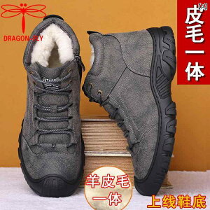 Xm[u[c Y V[vXL [gu[c h ۉ g ~ V[g JWA EB^[ E[CjO o[\[ EhgD 傫TCY