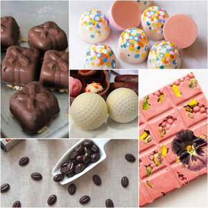 `R[g[h lߍ킹 PE vX`bN  d n[g` ` LfB [[ ٗp |bv 肨َq o^C p[eB[ ^