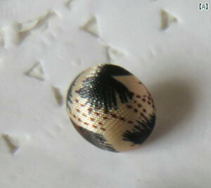 {^ fB[X qE n ی^ }bV[ h[^ zn I  킢  VtH Vc s[X AE^[ | nhCh CN  O[ 