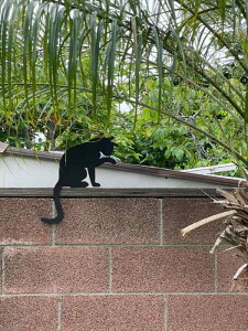 �K�[�f���I�u�W�F ���L 2�C �V���G�b�g �S�� ���^�� ����� �t�F���X �� �x�� �Y ���O �u�� �I�[�i�����g �K�[�f�j���O ����