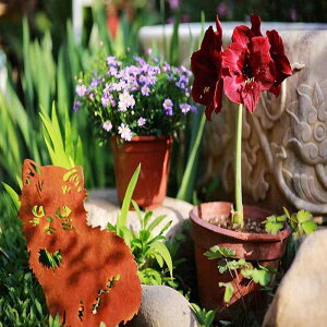 K[fIuWF yVL ^VGbg ACAA[g 뉀 u GNXeA nhCh [gACA O 30cm t`Jg[X^C K  