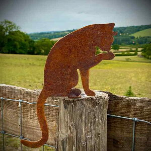 IuWF Y fB[X ACA L VGbg K[f  S KщH ^ Aj}`[t u  킢   x_ _ tFX Jg[ Op 