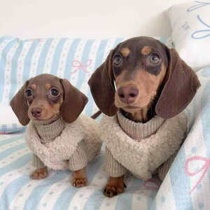 ybg j̎q ̎q ^ _bNXth Lp H~ h  ۉ {A V[v{A xXg Z[^[ d˒ i U o AEghA ǌn R[q[