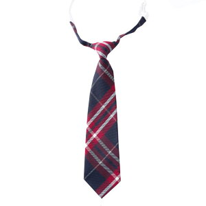 w ANZT[ j̎q ̎q w  lN^C lN^C u[` Zbg `FbN  Rbg XN[X^C CMX