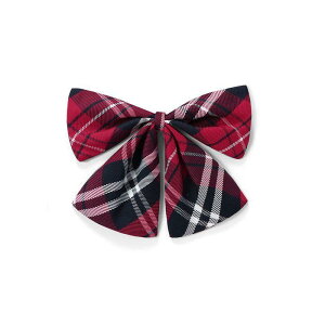 lN^C j̎q ̎q LbY ȒP `FbN ueBbV w@  XN[jtH[ \ ߑ ԃ`FbN `FbN {E^C