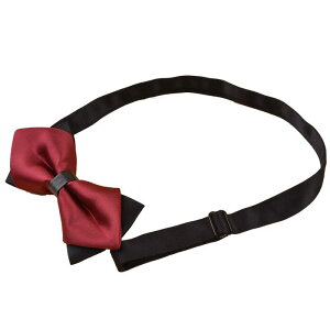 lN^C LbY j̎q w w tH[}  \ Cxg Ǝ w p ؍ JWAX^C ݌ANZT[ 񌳃{ ubN bh u[