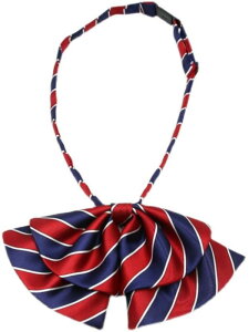 lN^C LbY j̎q ̎q ct w w Ԑ XgCv ѕsv ^b` w Ǝ \ tH[}