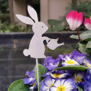 K[fsbN  f a UbJ ȃIuWF u VGbg O  eX x_  Aؔ A  fR[V Jg[ ACA t[sbN