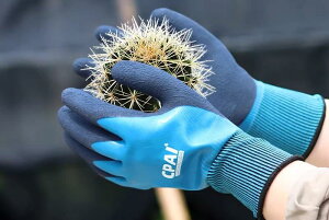 K[fjO Y fB[X lp  ϓ˂h h ~ Ɨp ނ o ؍͔|  y ی 