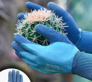 | Y fB[X K[fjOO[u ƗpO[u  S ϓ˂h ϐؑn ϖ h ~ ʋC d A o͔| ƒ؉ Ԗؗp