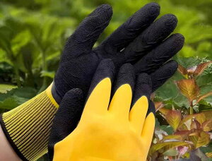 | K[fjOO[u Y fB[X ϐؑn ˂hh~ h hn v rv ebNX o T{e     _ O یO[u   