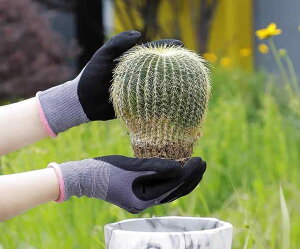  Y fB[X | K[fjO O[u ˂hh~ Ϟ h  ؍͔| ƒ؉ ނ G Ɨp ی ϖ ~ ʋC