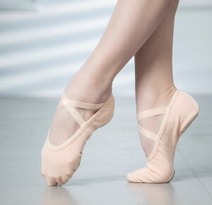 �o���G�V���[�Y �L�b�Y ���f�B�[�X �N���V�b�N�_���X ���b�X�� ���K�p ���\�� ���� �L�� �\�t�g�\�[�� ��� �L�k�� �X�g���b�`�f�� �b���� �s���N �x�[�W�� �u���b�N