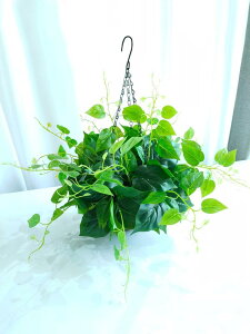 tFCNO[ lHϗtA VId nMOvc A ݂艺 A Zbg rO x_   CeA O[  