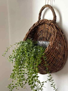 oXPbg Ǌ| ݂艺 nMO Aؔ v^[ ҂ ҂ ^ ҂ k͔| yk͔| ϗtA K[fjO i` CeA x_ oRj[ Ԃ