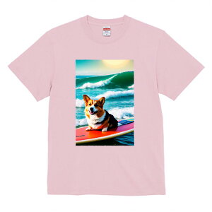 R[M[ TVc  T[tB g RXv   t EhlbN ʔTVc gbvX vg ybgTVc Y fB[X jZbNX  JWA 