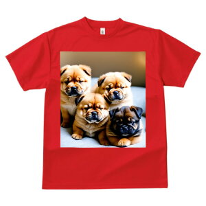 `E`E TVc  z   X|[c ނ q Ԃ   t EhlbN gbvX Y jZbNX fB[X I[o[TCY IV  