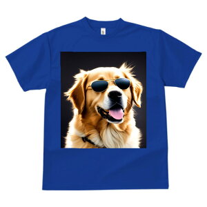 S[fgo[ TVc  z   X|[c ނ  RXv TOX  t EhlbN gbvX ybgTVc Y fB[X jZbNX IV