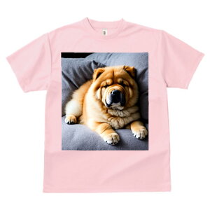 `E`E TVc  z   X|[c ނ q Ԃ   t EhlbN gbvX Y jZbNX fB[X I[o[TCY IV  