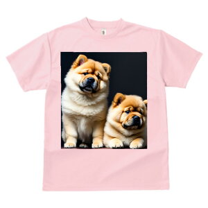 `E`E TVc  z   X|[c ނ q Ԃ   t EhlbN gbvX Y jZbNX fB[X I[o[TCY IV  