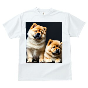 `E`E TVc  z   X|[c ނ q Ԃ   t EhlbN gbvX Y jZbNX fB[X I[o[TCY IV  