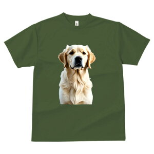 S[fgo[ TVc  z   X|[c ނ   t EhlbN gbvX ybgTVc Y fB[X jZbNX IV  JW