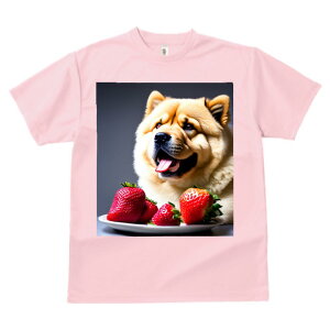 `E`E TVc  z   X|[c ނ   t EhlbN gbvX Y jZbNX fB[X I[o[TCY IV  JWA 