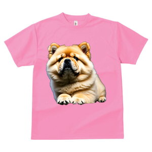 `E`E TVc  z   X|[c ނ q Ԃ   t EhlbN gbvX Y jZbNX fB[X I[o[TCY IV  