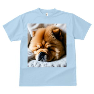 `E`E ˂ TVc  z   X|[c ނ q Ԃ   t EhlbN gbvX Y jZbNX fB[X I[o[TCY IV 