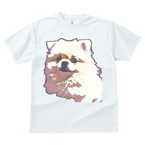 |jA TVc  z   X|[c ނ ^   t EhlbN gbvX Y jZbNX fB[X I[o[TCY IV  JWA