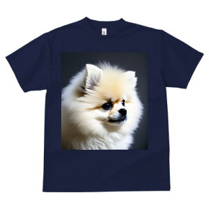 |jA TVc  z   X|[c ނ ^   t EhlbN gbvX Y jZbNX fB[X I[o[TCY IV  JWA