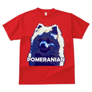 |jA TVc  z   X|[c ނ ^   t EhlbN gbvX Y jZbNX fB[X I[o[TCY IV  JWA