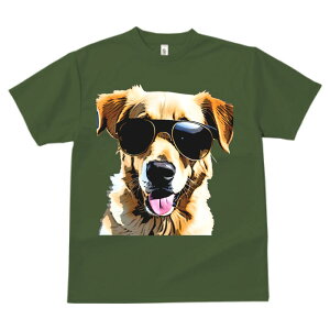 S[fgo[ TVc  z   X|[c ނ   t EhlbN gbvX ybgTVc Y fB[X jZbNX IV  JW