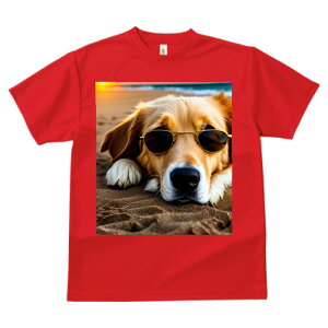 S[fgo[ TVc  z   X|[c ނ   t EhlbN gbvX Y jZbNX fB[X I[o[TCY IV  JW