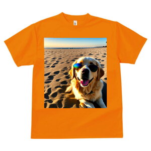 S[fgo[ TVc  z   X|[c ނ   t EhlbN gbvX Y jZbNX fB[X I[o[TCY IV  JW