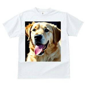 S[fgo[ TVc  z   X|[c ނ   t EhlbN gbvX Y jZbNX fB[X I[o[TCY IV  JW