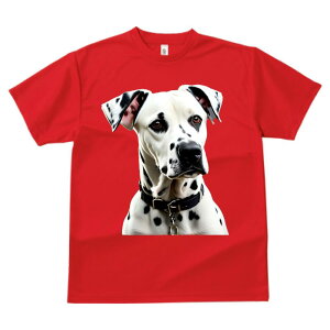 _VA ^ vg TVc  z   X|[c ނ   t EhlbN gbvX Y jZbNX fB[X IV  JWA 