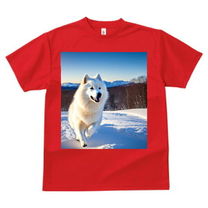 TGh vg TVc  z   ʕ X|[c ނ   t EhlbN gbvX Y jZbNX fB[X IV  JWA  