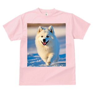 TGh vg TVc  z   ʕ X|[c ނ   t EhlbN gbvX Y jZbNX fB[X IV  JWA  