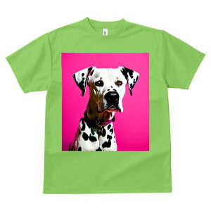 _VA ^ vg TVc  z   ʕ X|[c ނ   t EhlbN gbvX Y jZbNX fB[X IV  JWA