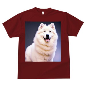 TGh vg TVc  z   ʕ X|[c ނ   t EhlbN gbvX Y jZbNX fB[X IV  JWA  