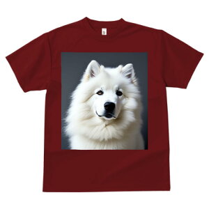 TGh vg TVc  z   ʕ X|[c ނ   t EhlbN gbvX Y jZbNX fB[X IV  JWA  