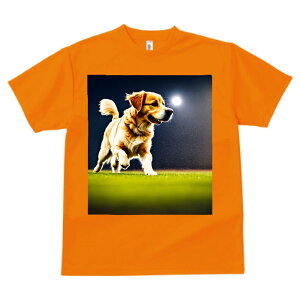 S[fgo[ ^ vg TVc  z   X|[c ނ   t EhlbN gbvX Y jZbNX fB[X IV  JW