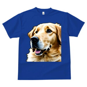 S[fgo[ ^ vg TVc  z   ʕ X|[c ނ   t EhlbN gbvX Y jZbNX fB[X IV  